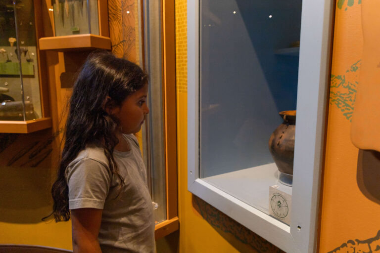 Free Guided Tour: Main Exhibit
