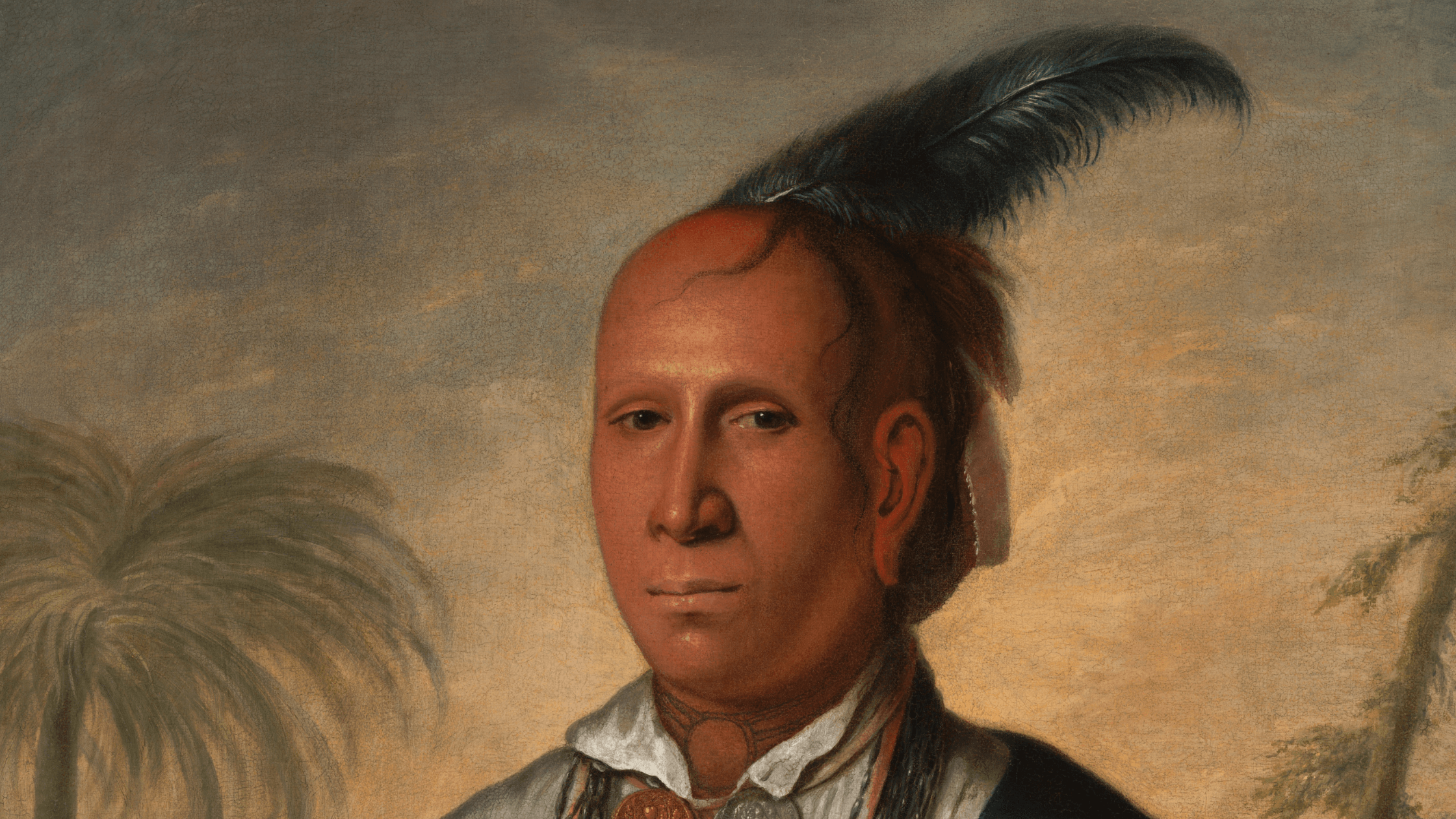 Cherokees in the American Revolution: Virtual Panel Discussion